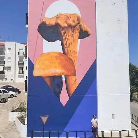 El Mirador Сasa de vacaciones *